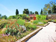 183 D18 PRESQU ILE DE GIENS 1_000005